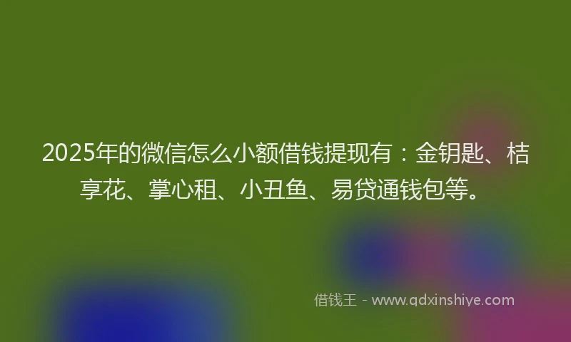 2025年的微信怎么小额借钱提现有：金钥匙、桔享花、掌心租、小丑鱼、易贷通钱包等。