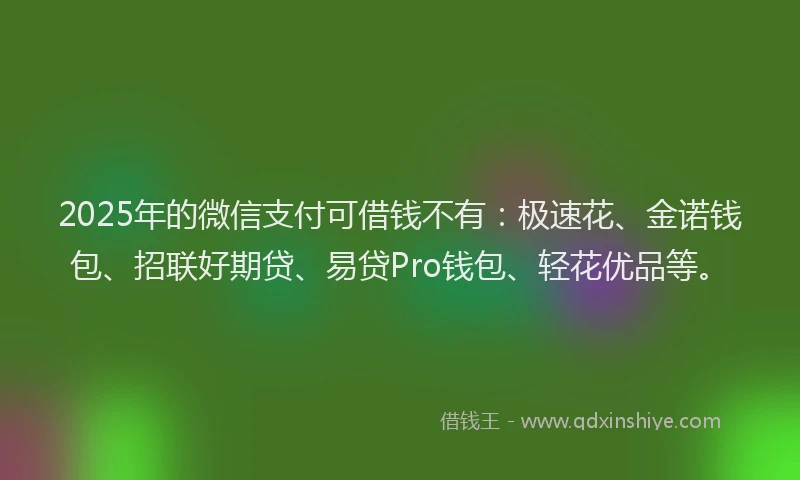 2025年的微信支付可借钱不有：极速花、金诺钱包、招联好期贷、易贷Pro钱包、轻花优品等。