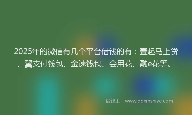 2025年的微信有几个平台借钱的有：壹起马上贷、翼支付钱包、金速钱包、会用花、融e花等。