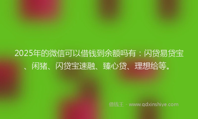 2025年的微信可以借钱到余额吗有：闪贷易贷宝、闲猪、闪贷宝速融、臻心贷、理想给等。