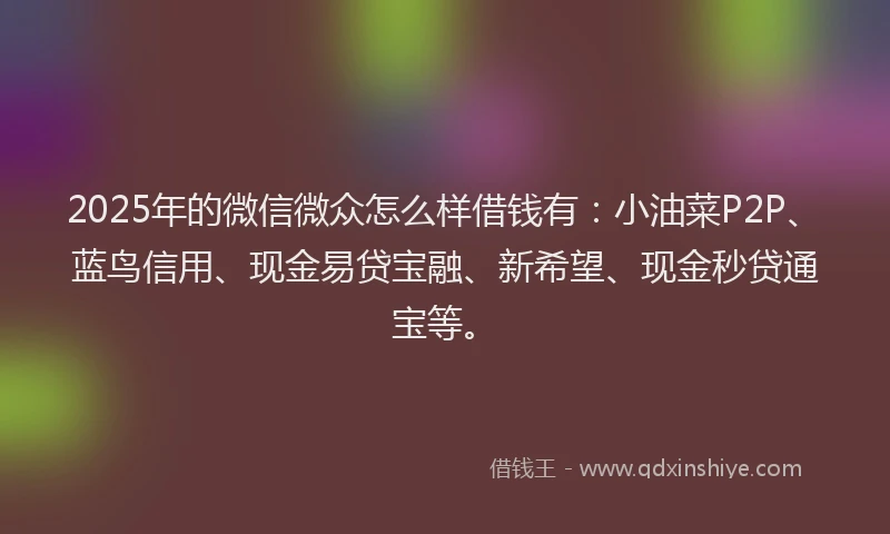 2025年的微信微众怎么样借钱有：小油菜P2P、蓝鸟信用、现金易贷宝融、新希望、现金秒贷通宝等。