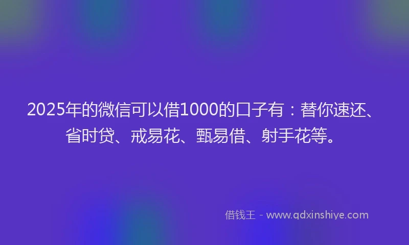 2025年的微信可以借1000的口子有：替你速还、省时贷、戒易花、甄易借、射手花等。