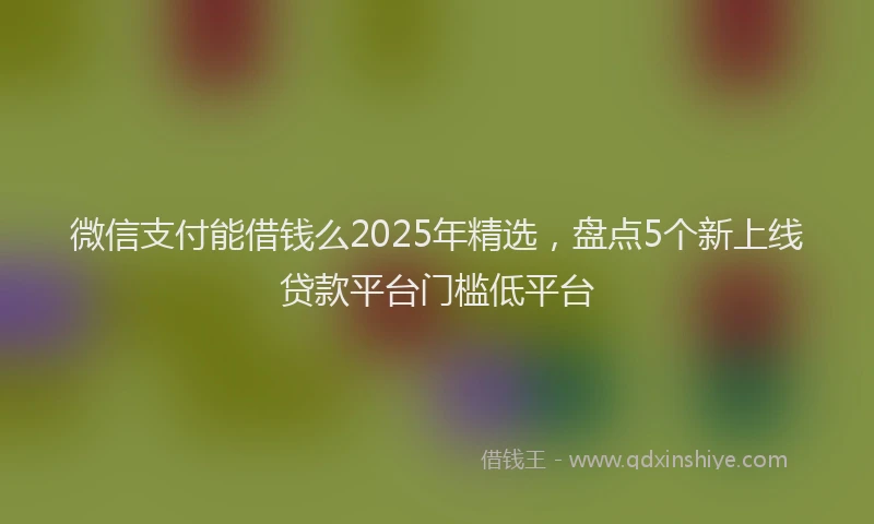 微信支付能借钱么2025年精选，盘点5个新上线贷款平台门槛低平台