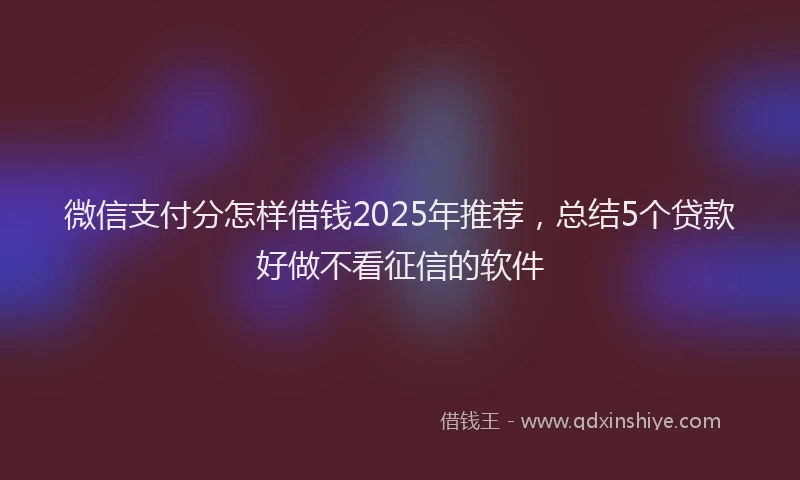 微信支付分怎样借钱2025年推荐，总结5个贷款好做不看征信的软件