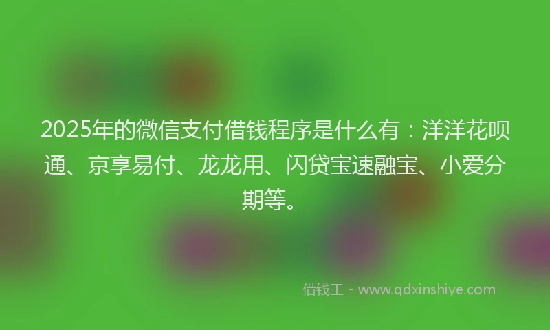 2025年的微信支付借钱程序是什么有：洋洋花呗通、京享易付、龙龙用、闪贷宝速融宝、小爱分期等。