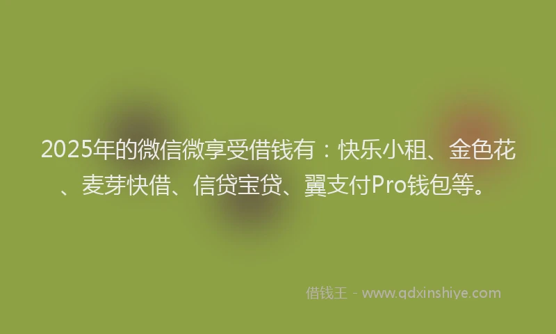 2025年的微信微享受借钱有：快乐小租、金色花、麦芽快借、信贷宝贷、翼支付Pro钱包等。