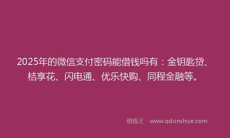 2025年的微信支付密码能借钱吗有：金钥匙贷、桔享花、闪电通、优乐快购、同程金融等。