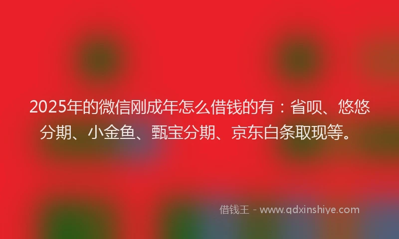 2025年的微信刚成年怎么借钱的有：省呗、悠悠分期、小金鱼、甄宝分期、京东白条取现等。