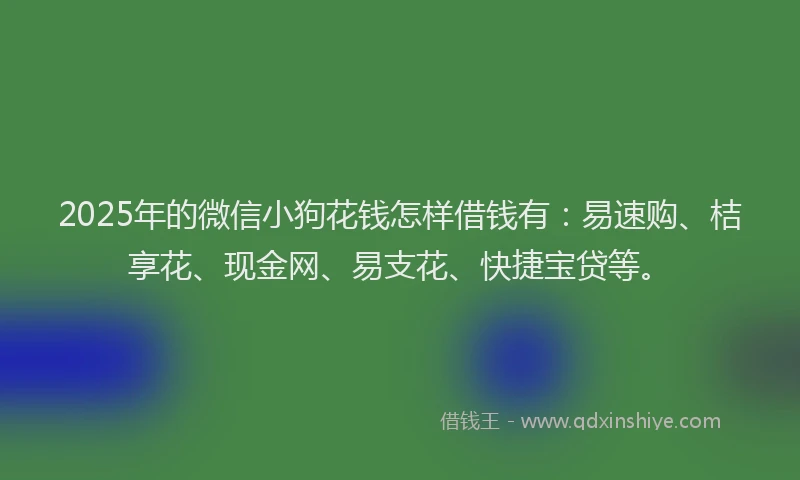 2025年的微信小狗花钱怎样借钱有：易速购、桔享花、现金网、易支花、快捷宝贷等。