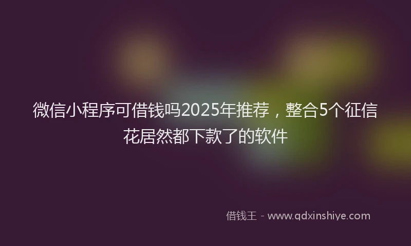 微信小程序可借钱吗2025年推荐，整合5个征信花居然都下款了的软件