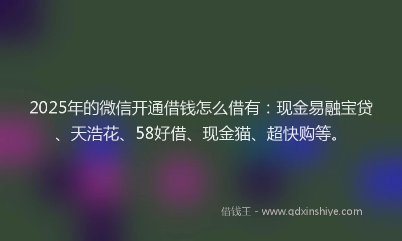 2025年的微信开通借钱怎么借有：现金易融宝贷、天浩花、58好借、现金猫、超快购等。