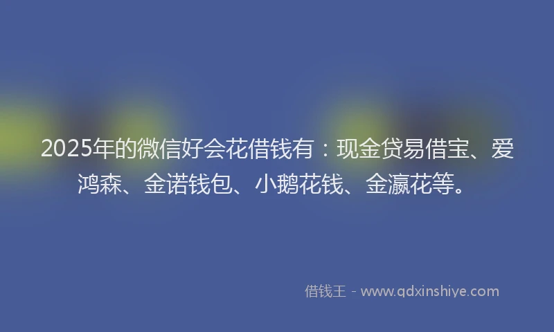 2025年的微信好会花借钱有：现金贷易借宝、爱鸿森、金诺钱包、小鹅花钱、金瀛花等。