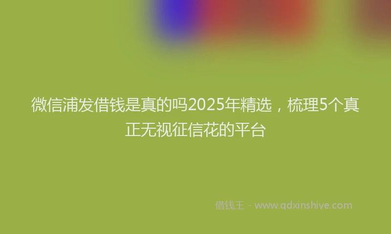 微信浦发借钱是真的吗2025年精选，梳理5个真正无视征信花的平台