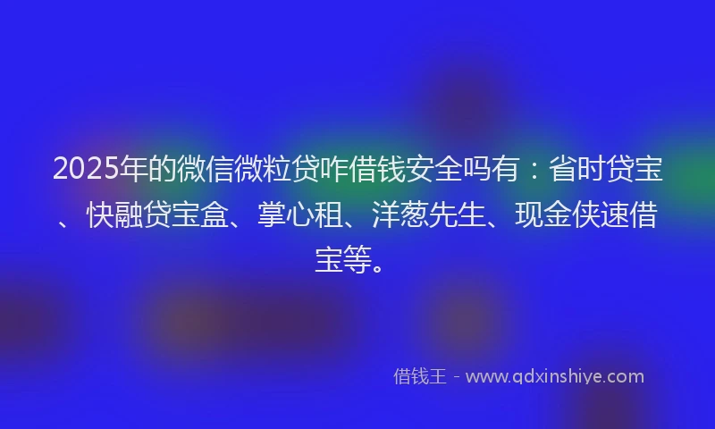2025年的微信微粒贷咋借钱安全吗有：省时贷宝、快融贷宝盒、掌心租、洋葱先生、现金侠速借宝等。