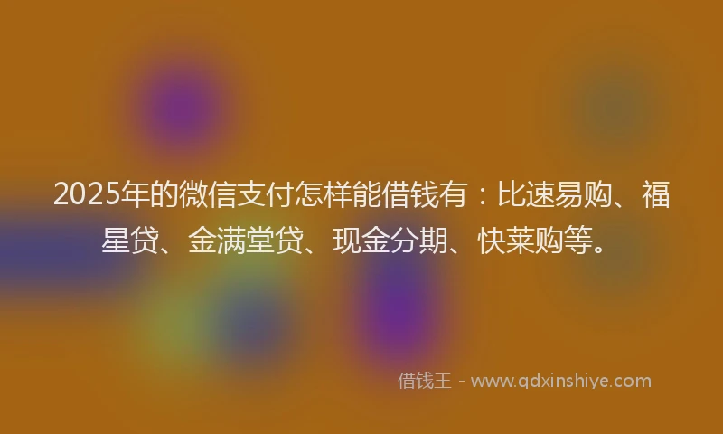 2025年的微信支付怎样能借钱有：比速易购、福星贷、金满堂贷、现金分期、快莱购等。