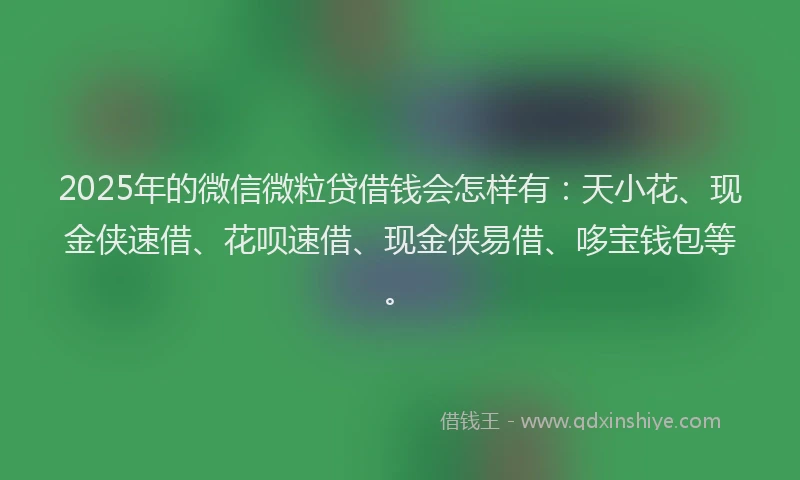 2025年的微信微粒贷借钱会怎样有：天小花、现金侠速借、花呗速借、现金侠易借、哆宝钱包等。