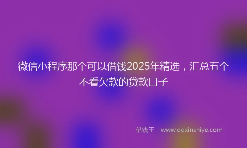 微信小程序那个可以借钱2025年精选，汇总五个不看欠款的贷款口子