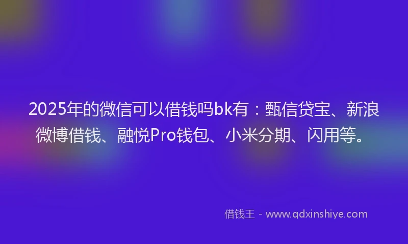 2025年的微信可以借钱吗bk有：甄信贷宝、新浪微博借钱、融悦Pro钱包、小米分期、闪用等。