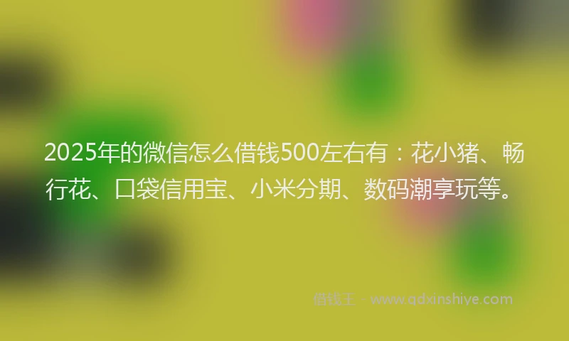 2025年的微信怎么借钱500左右有：花小猪、畅行花、口袋信用宝、小米分期、数码潮享玩等。