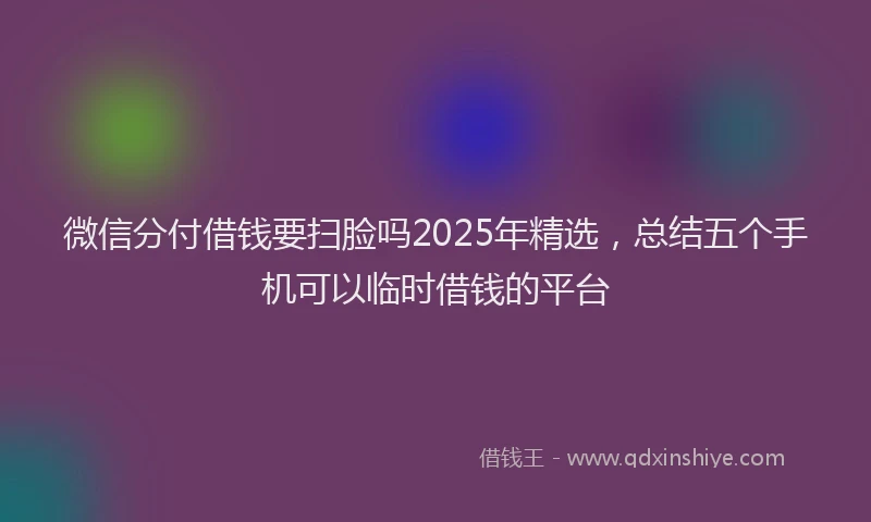 微信分付借钱要扫脸吗2025年精选，总结五个手机可以临时借钱的平台
