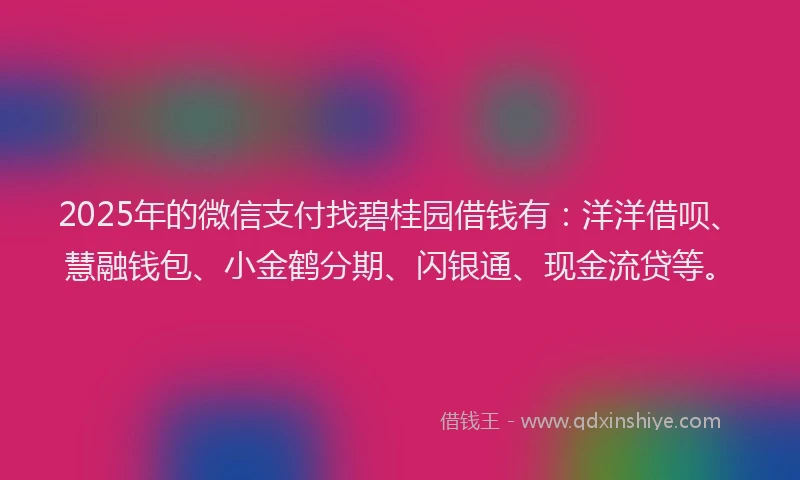 2025年的微信支付找碧桂园借钱有：洋洋借呗、慧融钱包、小金鹤分期、闪银通、现金流贷等。