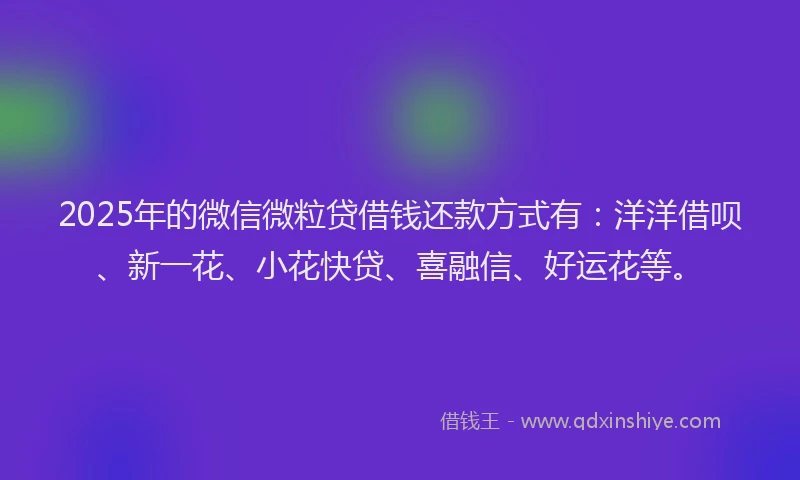 2025年的微信微粒贷借钱还款方式有：洋洋借呗、新一花、小花快贷、喜融信、好运花等。