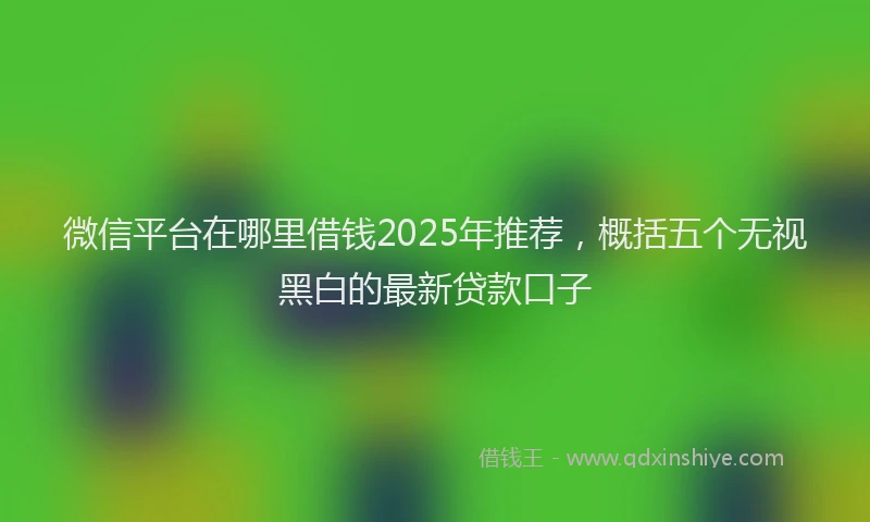 微信平台在哪里借钱2025年推荐，概括五个无视黑白的最新贷款口子
