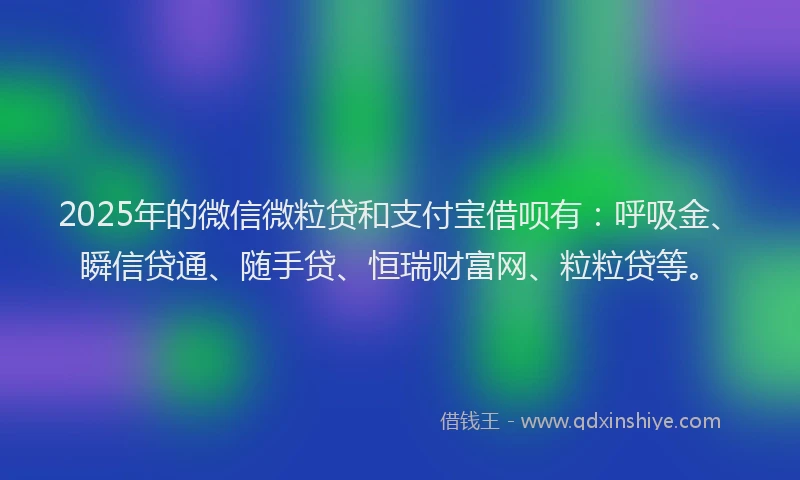 2025年的微信微粒贷和支付宝借呗有：呼吸金、瞬信贷通、随手贷、恒瑞财富网、粒粒贷等。