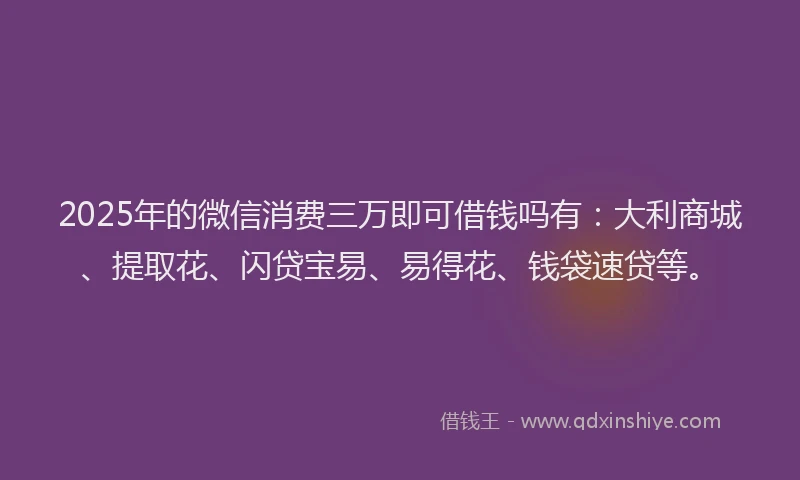 2025年的微信消费三万即可借钱吗有：大利商城、提取花、闪贷宝易、易得花、钱袋速贷等。