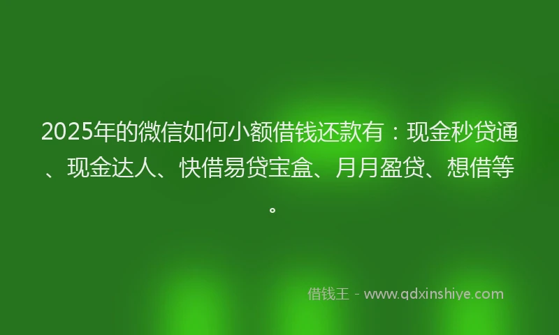 2025年的微信如何小额借钱还款有：现金秒贷通、现金达人、快借易贷宝盒、月月盈贷、想借等。