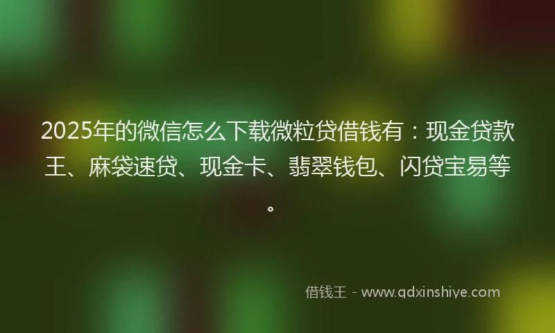 2025年的微信怎么下载微粒贷借钱有：现金贷款王、麻袋速贷、现金卡、翡翠钱包、闪贷宝易等。
