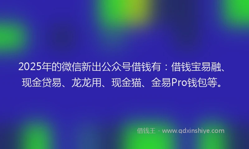 2025年的微信新出公众号借钱有：借钱宝易融、现金贷易、龙龙用、现金猫、金易Pro钱包等。