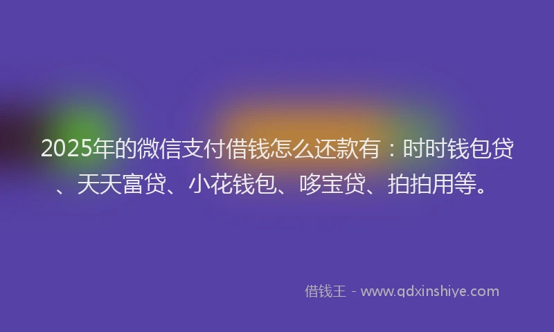 2025年的微信支付借钱怎么还款有：时时钱包贷、天天富贷、小花钱包、哆宝贷、拍拍用等。