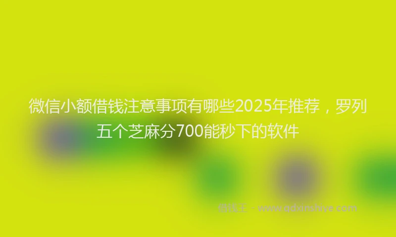 微信小额借钱注意事项有哪些2025年推荐，罗列五个芝麻分700能秒下的软件