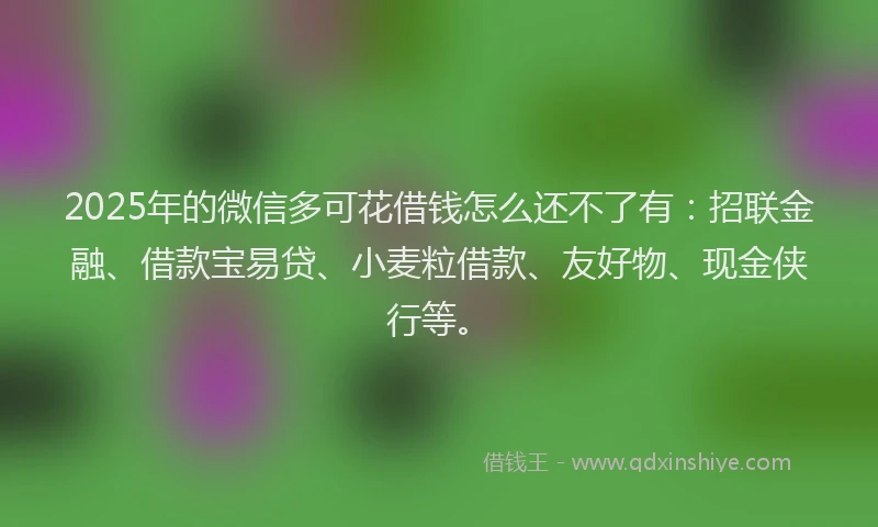 2025年的微信多可花借钱怎么还不了有：招联金融、借款宝易贷、小麦粒借款、友好物、现金侠行等。