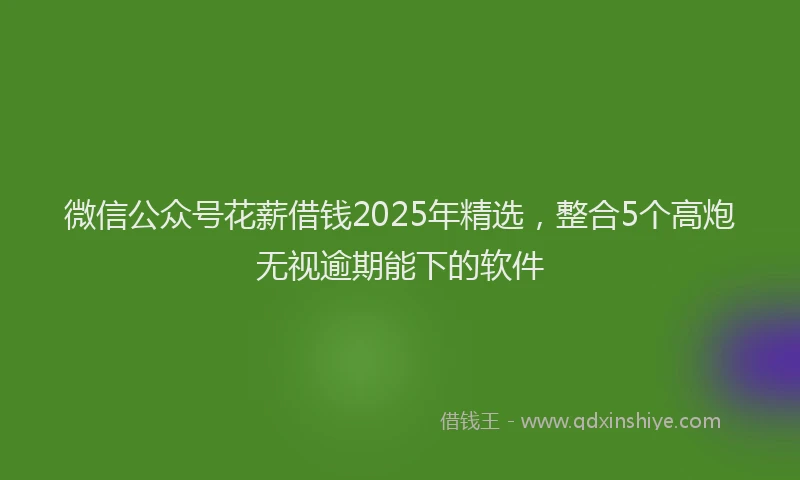 微信公众号花薪借钱2025年精选，整合5个高炮无视逾期能下的软件