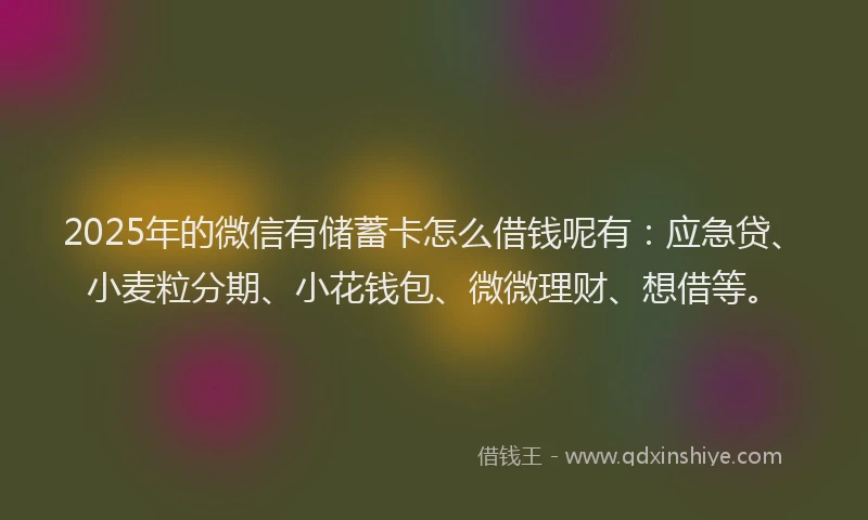 2025年的微信有储蓄卡怎么借钱呢有：应急贷、小麦粒分期、小花钱包、微微理财、想借等。