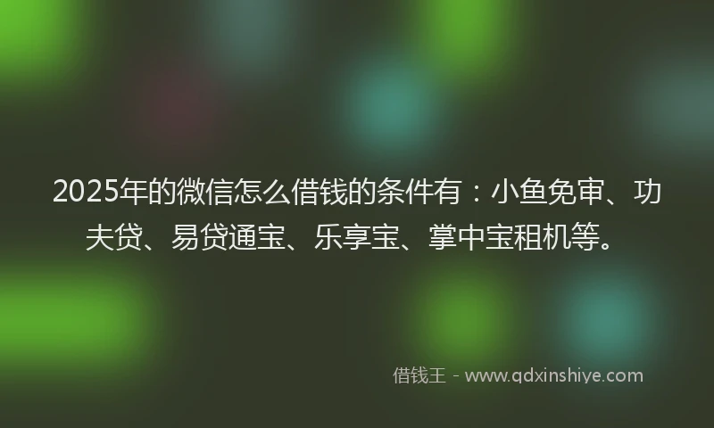2025年的微信怎么借钱的条件有：小鱼免审、功夫贷、易贷通宝、乐享宝、掌中宝租机等。
