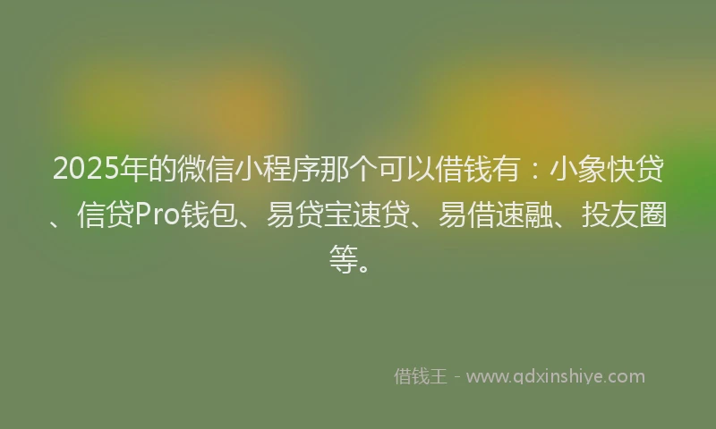 2025年的微信小程序那个可以借钱有：小象快贷、信贷Pro钱包、易贷宝速贷、易借速融、投友圈等。