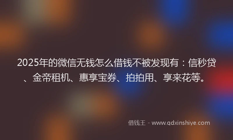 2025年的微信无钱怎么借钱不被发现有：信秒贷、金帝租机、惠享宝券、拍拍用、享来花等。