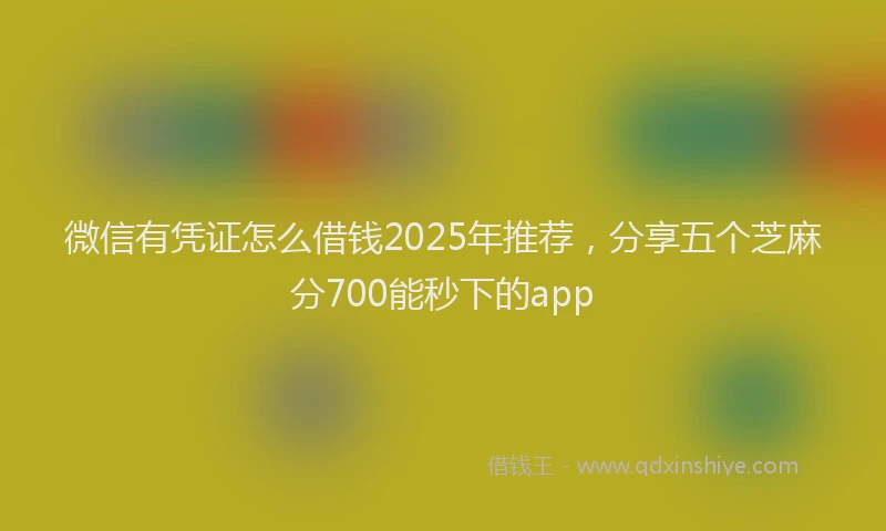 微信有凭证怎么借钱2025年推荐，分享五个芝麻分700能秒下的app