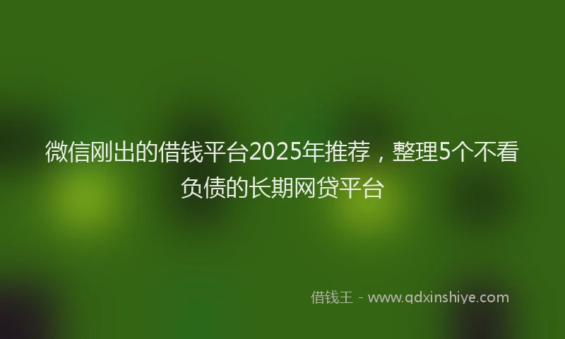 微信刚出的借钱平台2025年推荐，整理5个不看负债的长期网贷平台