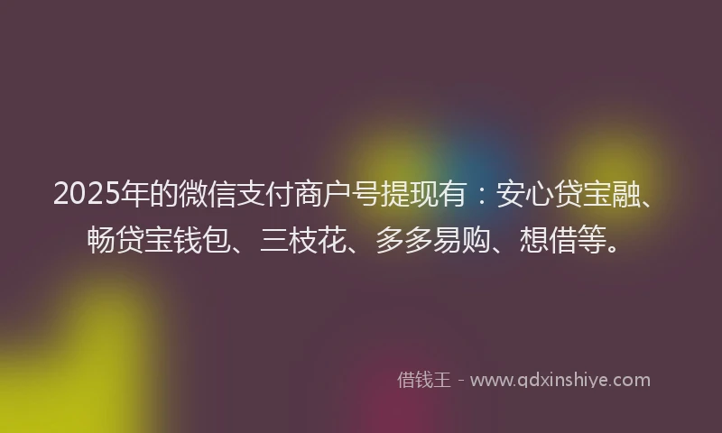 2025年的微信支付商户号提现有：安心贷宝融、畅贷宝钱包、三枝花、多多易购、想借等。