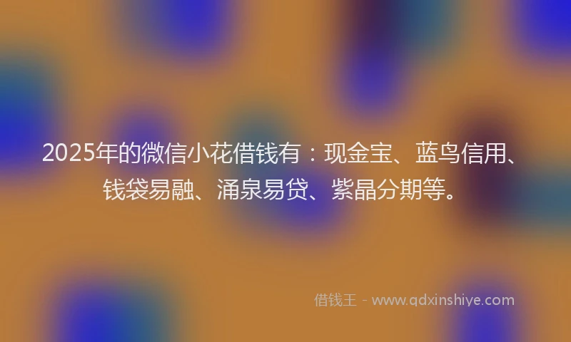 2025年的微信小花借钱有：现金宝、蓝鸟信用、钱袋易融、涌泉易贷、紫晶分期等。
