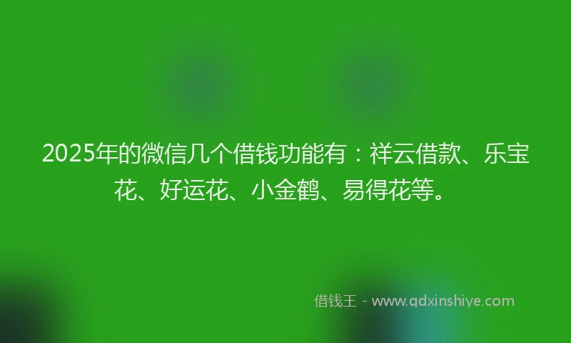 2025年的微信几个借钱功能有：祥云借款、乐宝花、好运花、小金鹤、易得花等。
