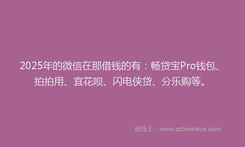 2025年的微信在那借钱的有：畅贷宝Pro钱包、拍拍用、宜花呗、闪电侠贷、分乐购等。