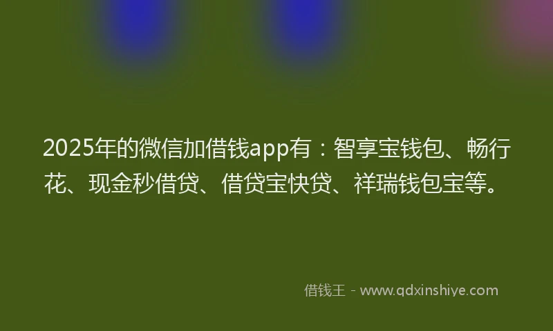 2025年的微信加借钱app有：智享宝钱包、畅行花、现金秒借贷、借贷宝快贷、祥瑞钱包宝等。