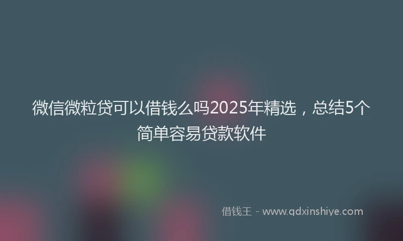微信微粒贷可以借钱么吗2025年精选，总结5个简单容易贷款软件