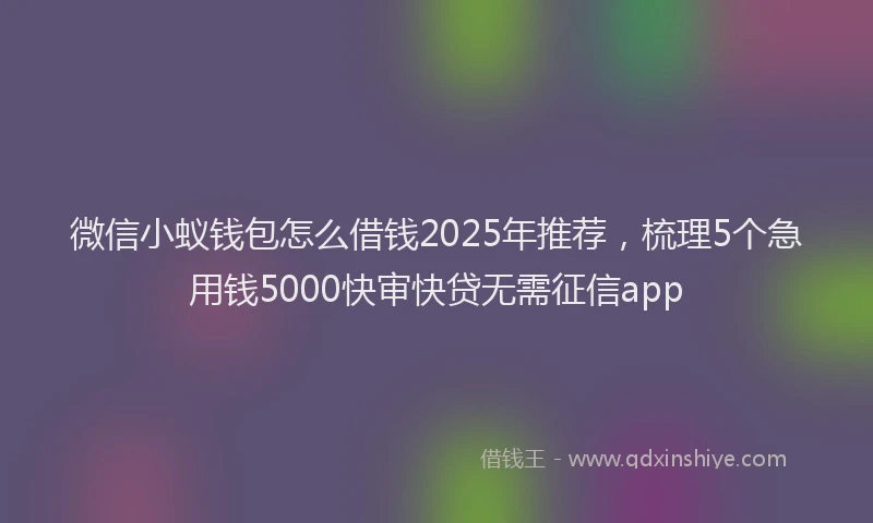 微信小蚁钱包怎么借钱2025年推荐，梳理5个急用钱5000快审快贷无需征信app
