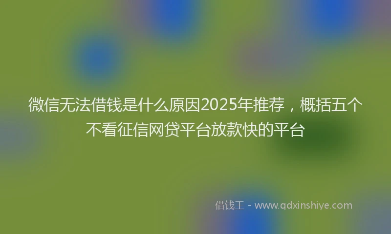 微信无法借钱是什么原因2025年推荐，概括五个不看征信网贷平台放款快的平台